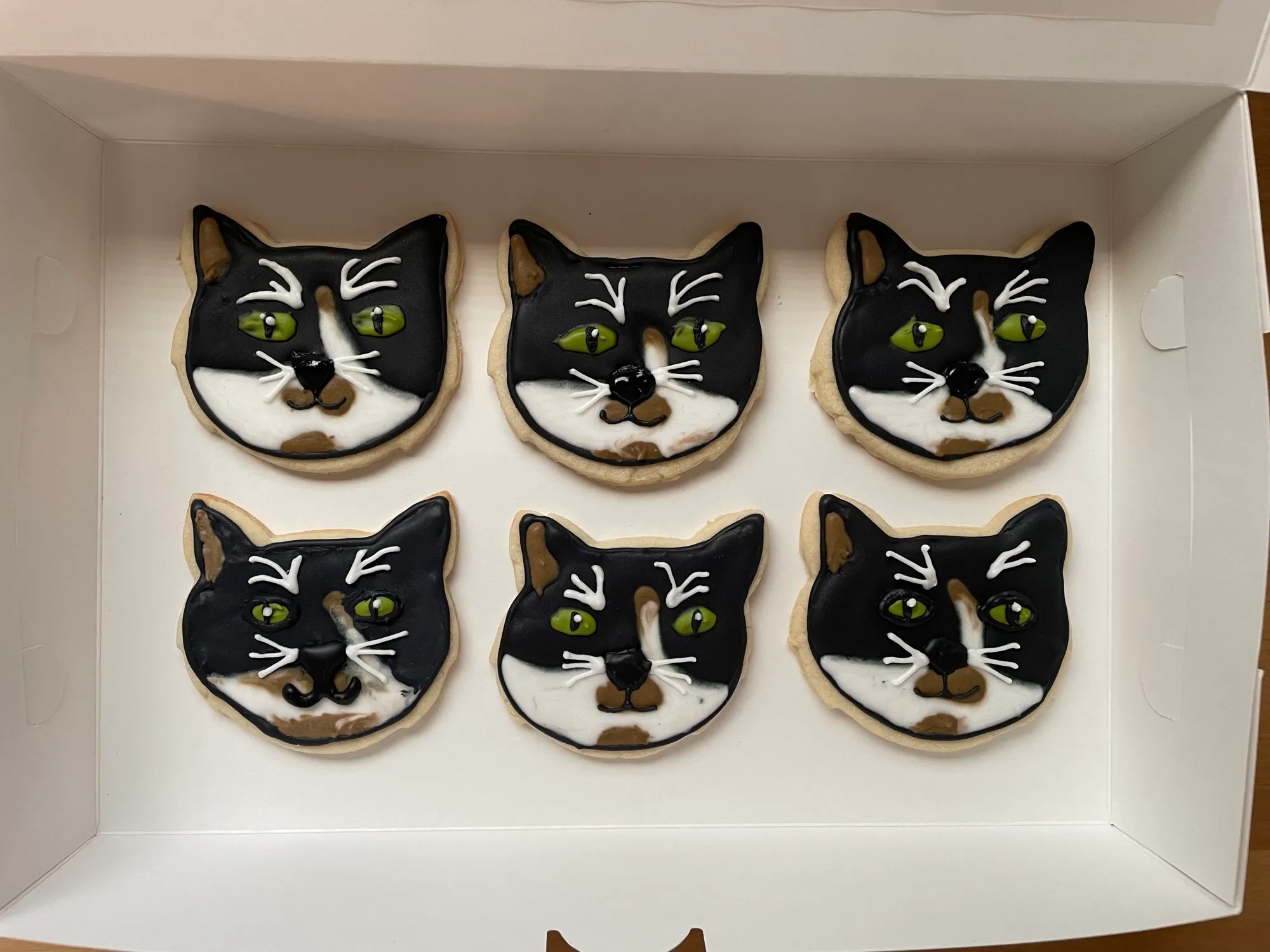 Cat face cookies in a gift box